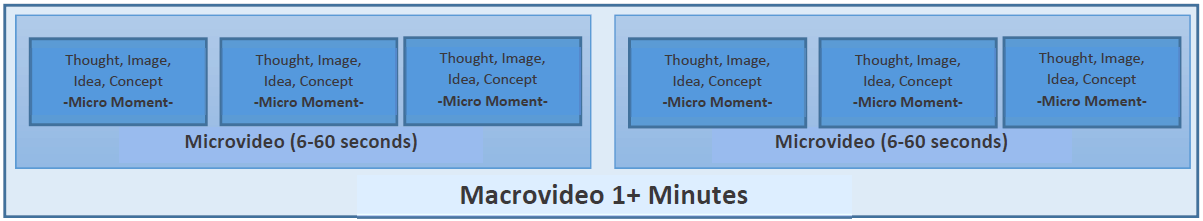figure representing elements of a microvideo
