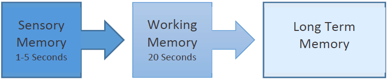 image showing process of information moving from sensory memory to working memory to long term memory
